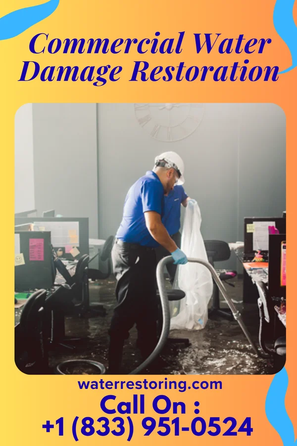 Commercial Water Damage Restoration in Roxie, MS